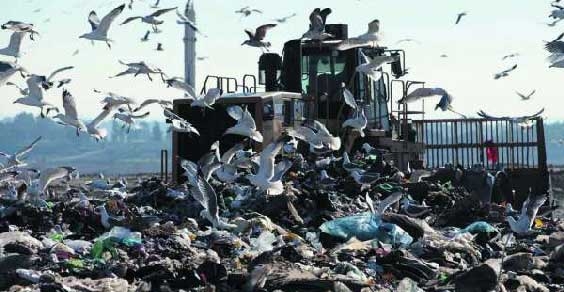 Rifiuti. A Roma si punta all’operazione rifiuti zero