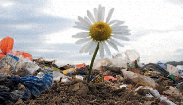 I crimini contro l’ambiente saranno reati penali. La Camera aggiorna il codice