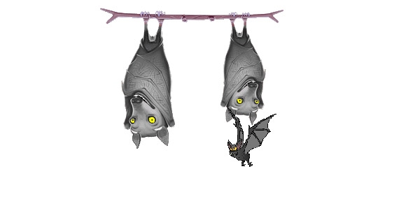Il pipistrello di La Fontaine, ciò che manca alla sinistra