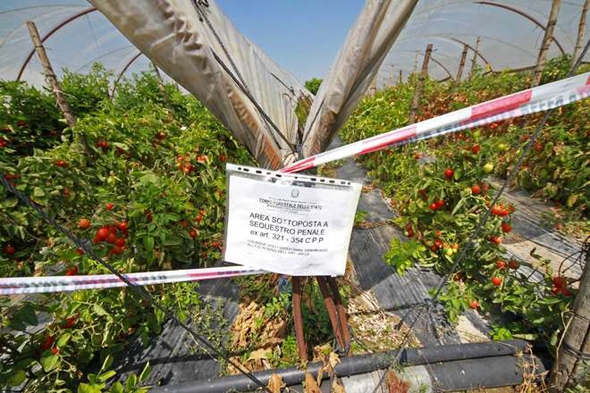 Terra dei Fuochi, firmato decreto su controlli. Coldiretti, compensare agricoltori