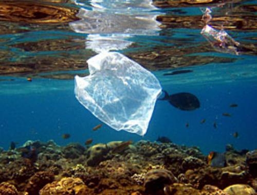 Rifiuti.  Strasburgo approva direttiva su sacchetti di plastica