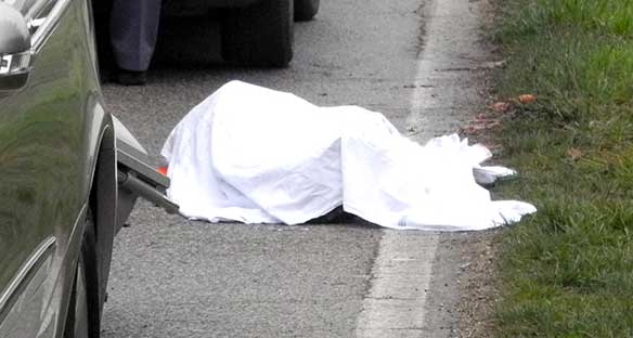 Incidenti stradali. In 6 anni i pirati della strada causano 653 morti