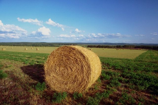 Agricoltura. Il Def non affronta  problemi e la crisi del settore
