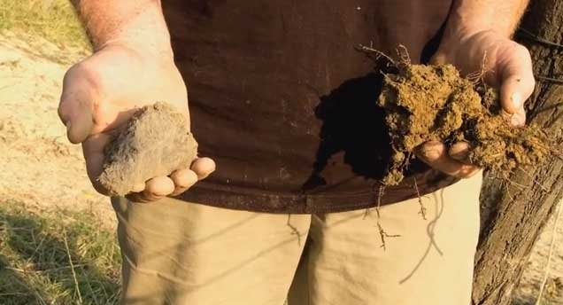 Resistenza Naturale di J. Nossiter. Se non guardiamo al passato il presente non c’è