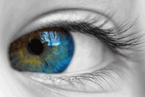 Neuromielite Ottica e Miastenia Grave: al via due studi sperimentali