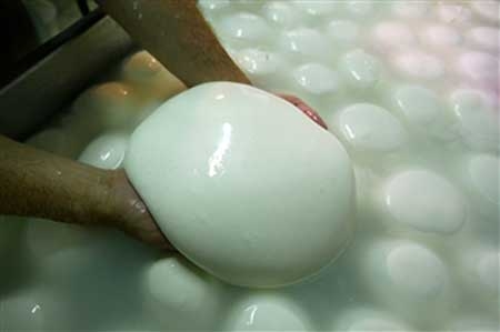 Camorra. Mozzarella, un business da 14 miliardi di euro