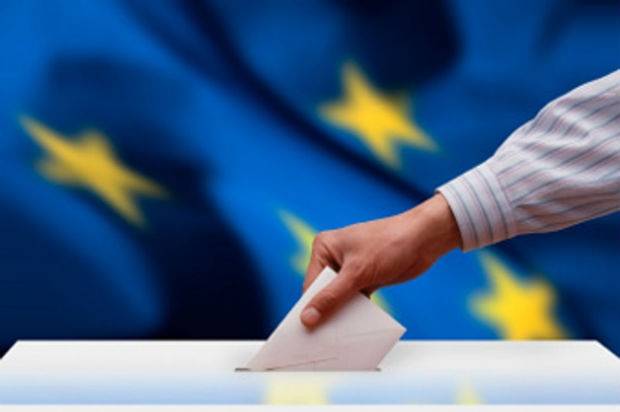 Elezioni europee. I risultati che dividono