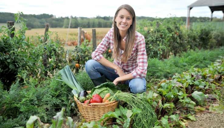 Agricoltura. Sempre più giovani attratti, ma le aziende under 35 diminuiscono