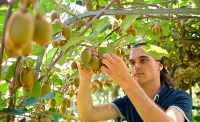 Agricoltura Lazio. Bando terre a giovani. Rosati, un gran successo