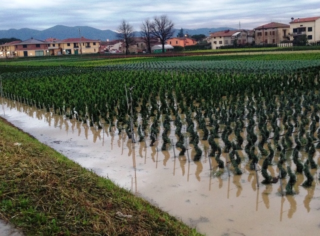 Maltempo. Milioni di danni alle colture. Coldiretti, ecco la mappa delle calamita’