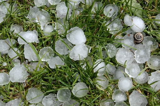 Maltempo. Raccolti distrutti da grandine e bombe d’acqua