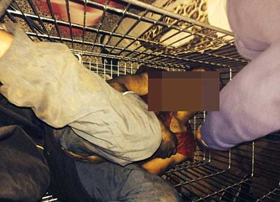 Il caso Darius,linciato e abbandonato in coma. In che terreno affondano le radici dell’odio?