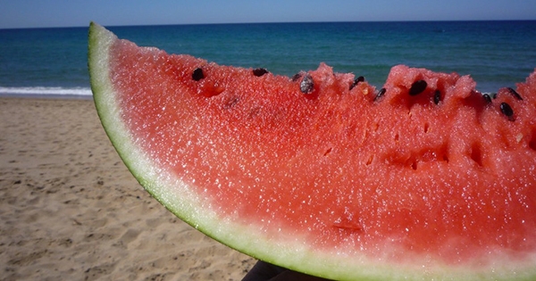 Frutta nelle spiagge. Nasce il primo Agribeach, l’orto in riva al mare