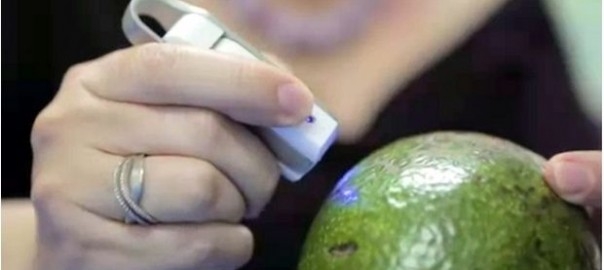 Un sensore molecolare tascabile per “leggere” cibo e medicinali. IL VIDEO
