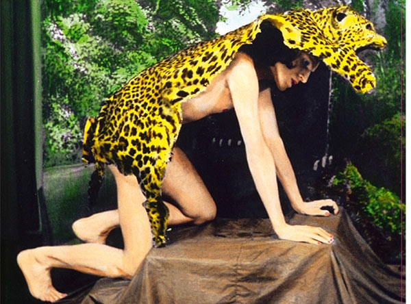 Ninos Du Brasil Novos Misterios, gemma elettronica che vi lancia in Amazzonia. Video