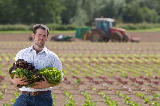 Agricoltura. Record di assunzioni