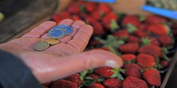 Record crollo consumi. 2 italiani su 3 tagliano la spesa alimentare