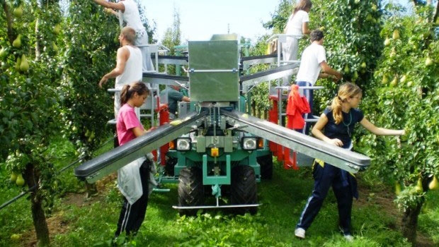 Lavoro. Crescono le assunzioni in agricoltura, calo nelle grandi imprese
