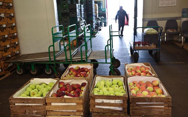 Bruxelles prepara nuove misure a sostegno dell’agricoltura europea. VIDEO