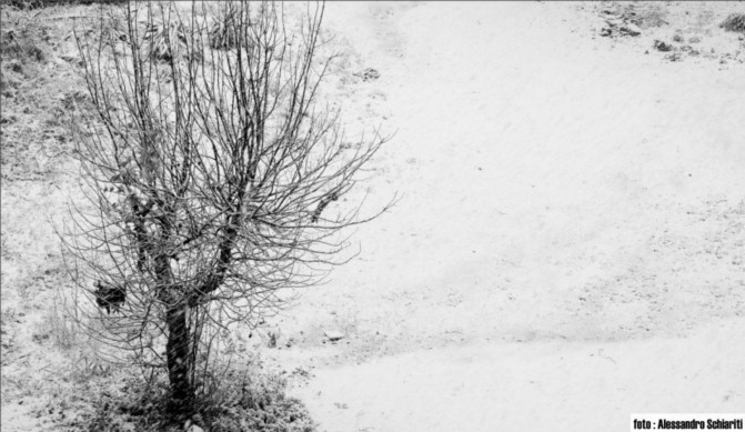 Capitolo 23. Neve a Primavalle