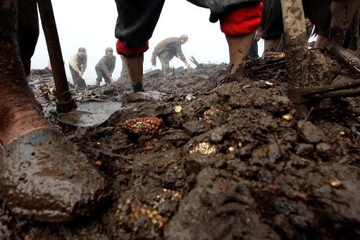 Dissesto idrogeologico. L’Italia un paese in ginocchio tra fango e frane