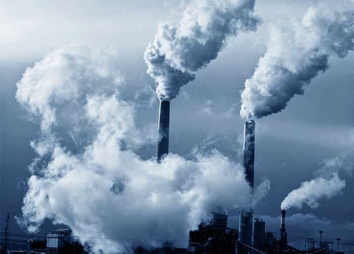 Ambiente. WWF, reati ambientali a rischio non punibilità