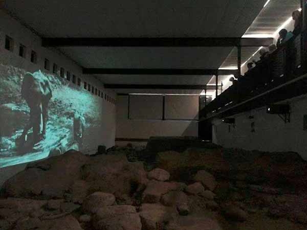 Roma. Aperto Museo pleistocenico a Casal de’ Pazzi