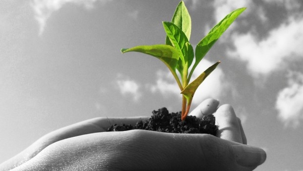 Bioeconomia. Italia terza in Europa