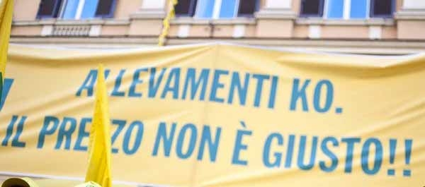 Addio alle quote latte. Allevatori in piazza a Roma