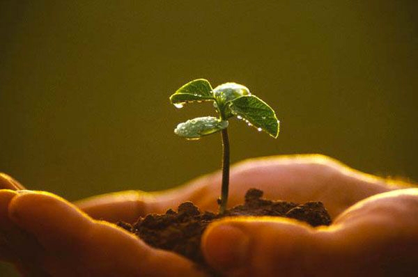 Earth day. Italia, meno 28% terre fertili negli ultimi 25 anni