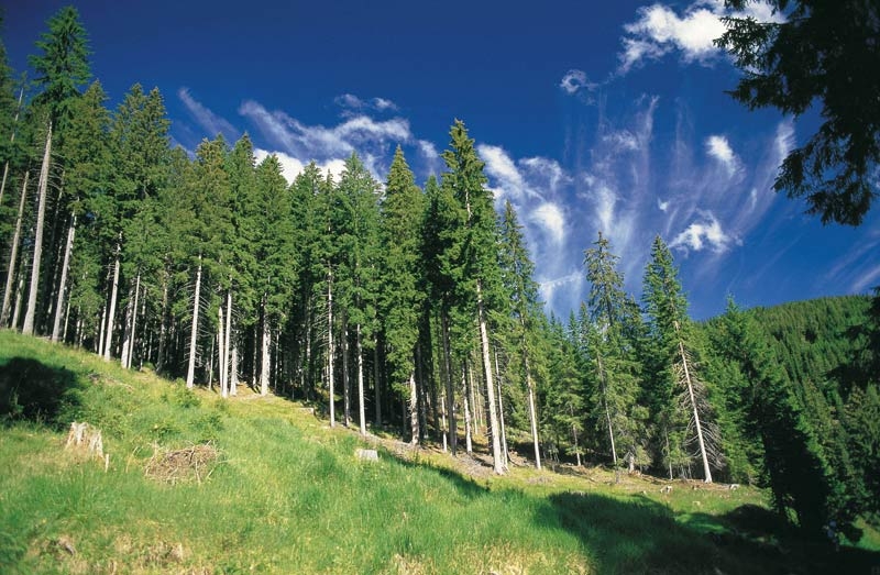 Parco Nazionale dello Stelvio a rischio conservazione