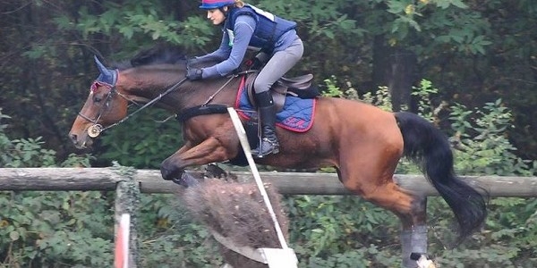 Cade da cavallo e l’animale la schiaccia: muore 25enne