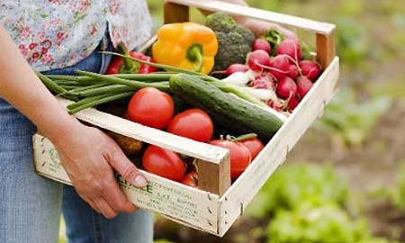 Corto Circuito dei Contadini 2015: l’appuntamento enogastronomico più atteso del Gargano