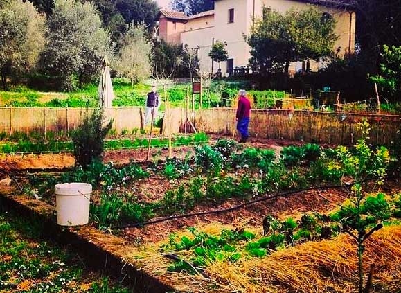 Apre a Roma Bio’s Café: Bistrot Biologico Certificato della Capitale
