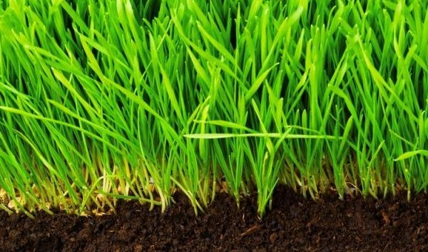 Recuperiamo il terreno.  Appello per una legge sul consumo del suolo