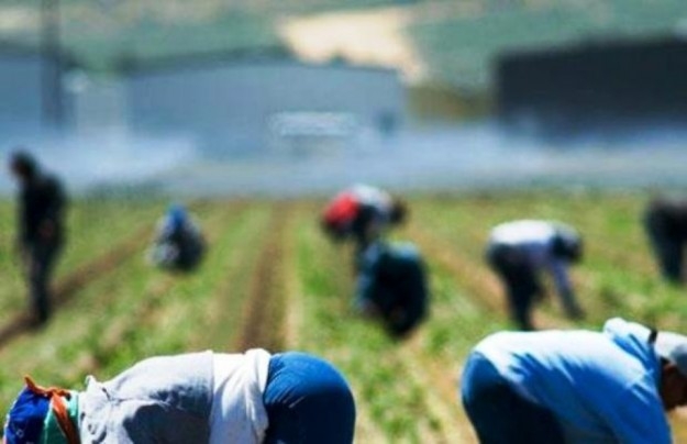 Truffa Inps da 1 milione di euro. 479 falsi braccianti