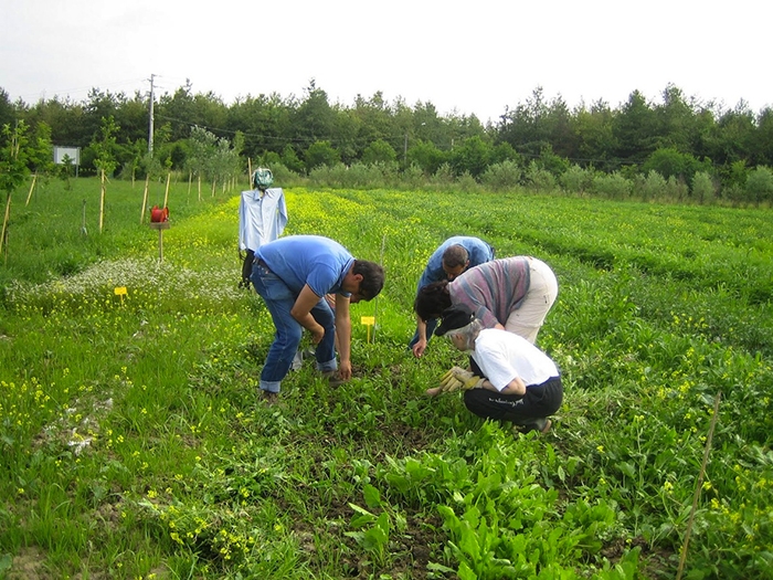 Agricoltura. Aumentano i prezzi ma nei campi è crisi