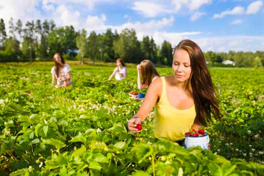 Lavoro. Aumento del 12% giovani under 35 in agricoltura nel 2015