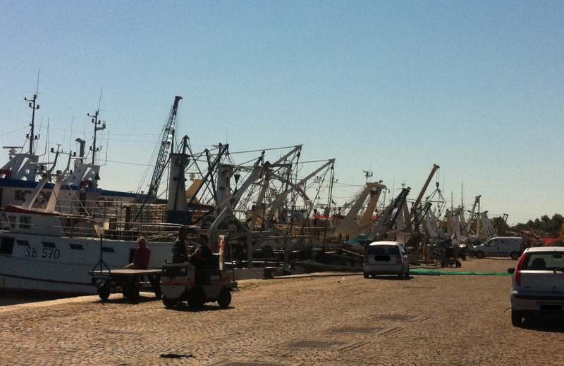 Adriatico. Stop a pesce fresco, scatta il fermo per 43 giorni