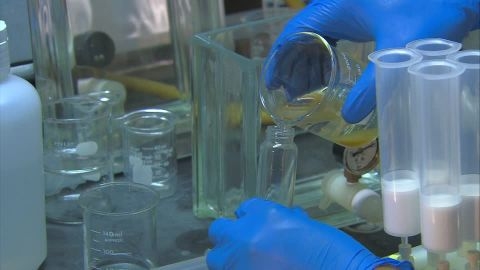 Scienza. Creato in provetta cervello umano quasi completamente formato