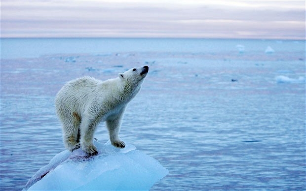 Clima.  l mondo prenda atto che il prossimo vertice potrebbe essere l’ultima vera opportunità