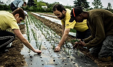 Agricoltura sociale. La Camera ha detto si, ora è legge