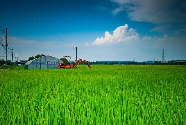 L’agricoltura italiana, la più green d’Europa