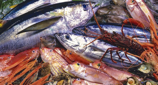 Consumi. Torna il pesce fresco in Adriatico. Finito il fermo