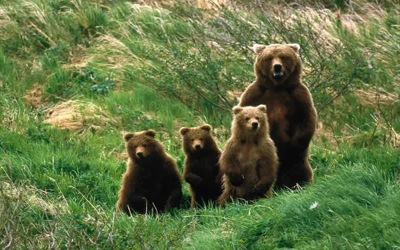 Alla scoperta delle eccellenze del Parco nazionale d’Abruzzo, Lazio e Molise