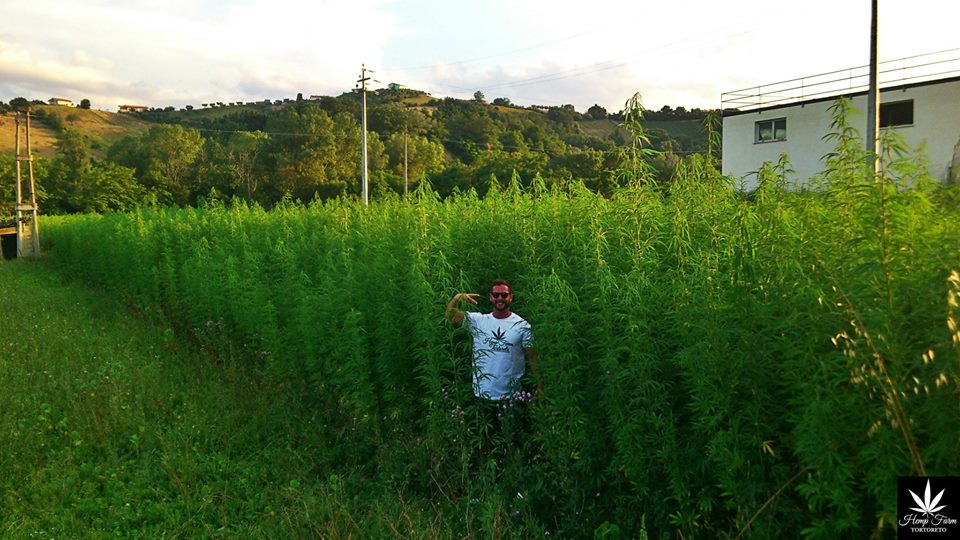 HEMP HELPS: la canapa all’Expo. La nuova speranza dell’agricoltura italiana