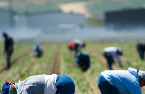 Scoperti falsi braccianti, una frode da 235mila euro