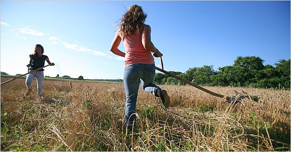 Lavoro. Boom di giovani nell’agricoltura, +35%