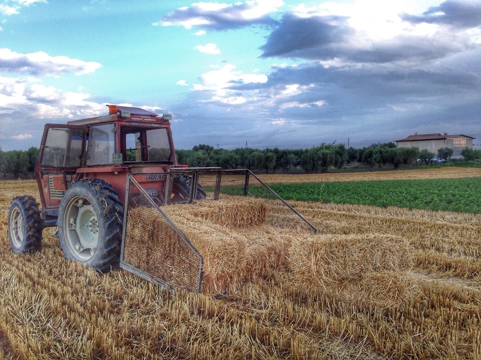 Agricoltura. Record assunzioni nel Sud