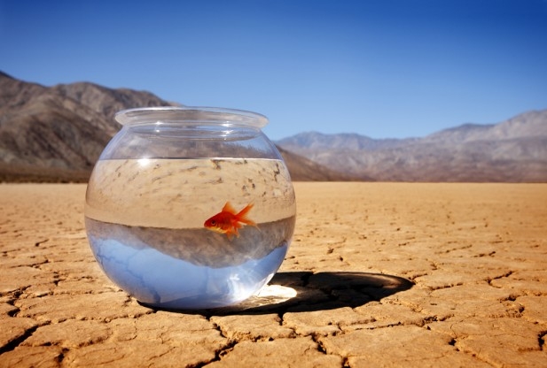 Rinnovabili. Italia impreparata ai cambiamenti climatici